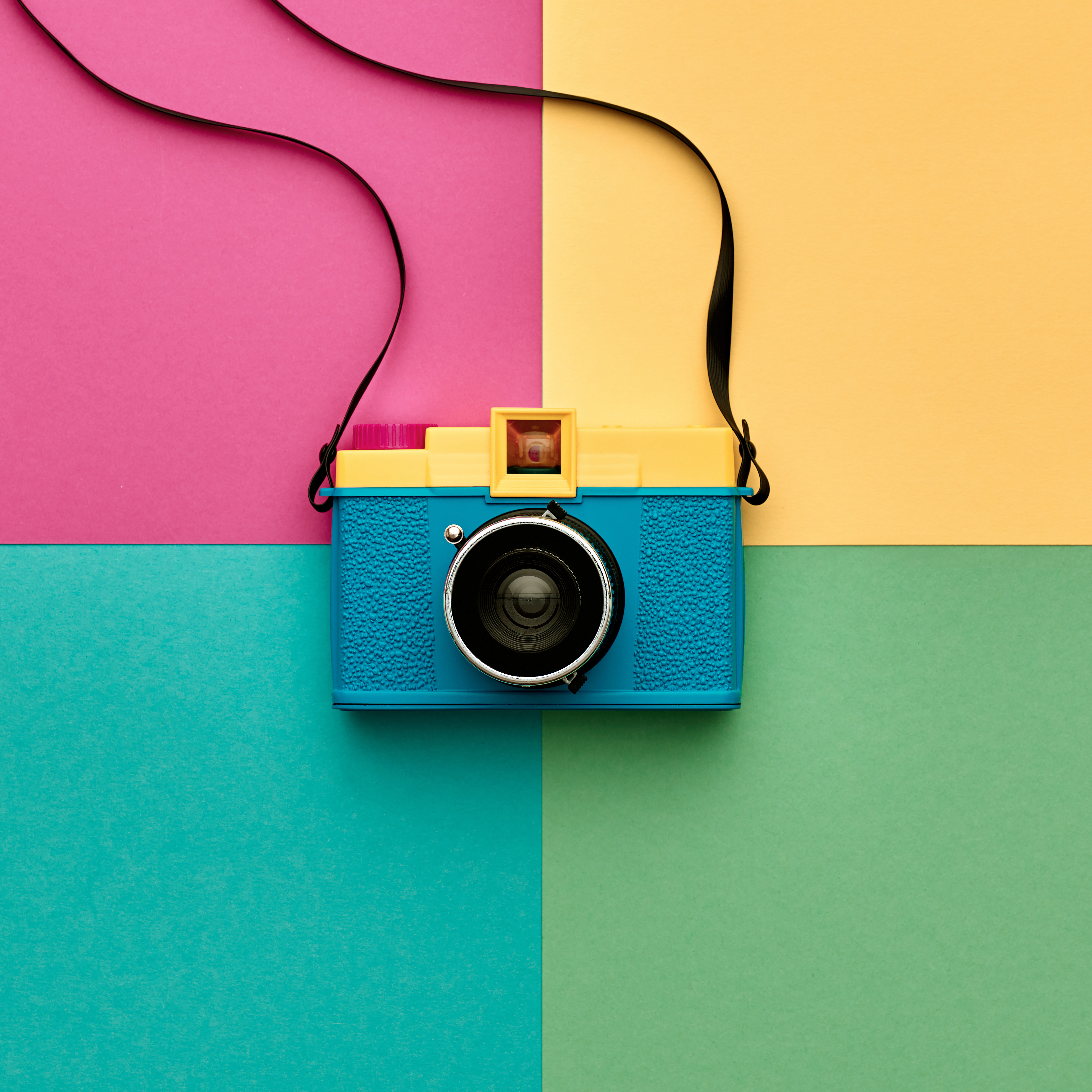 Portfolio Images